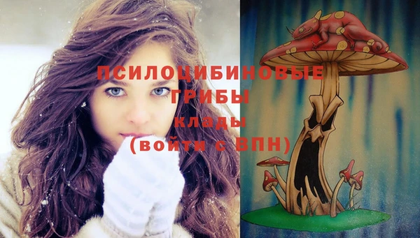 стаф Алзамай
