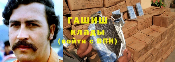 стаф Алзамай