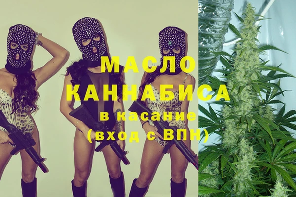 стаф Алзамай