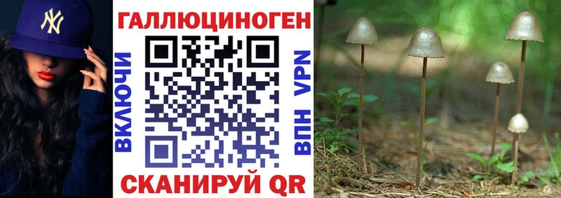 кракен ТОР  продажа наркотиков  Сосновка  Галлюциногенные грибы прущие грибы 